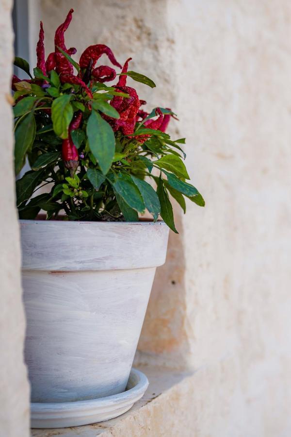 Trullitria Rooms Alberobello Exterior photo